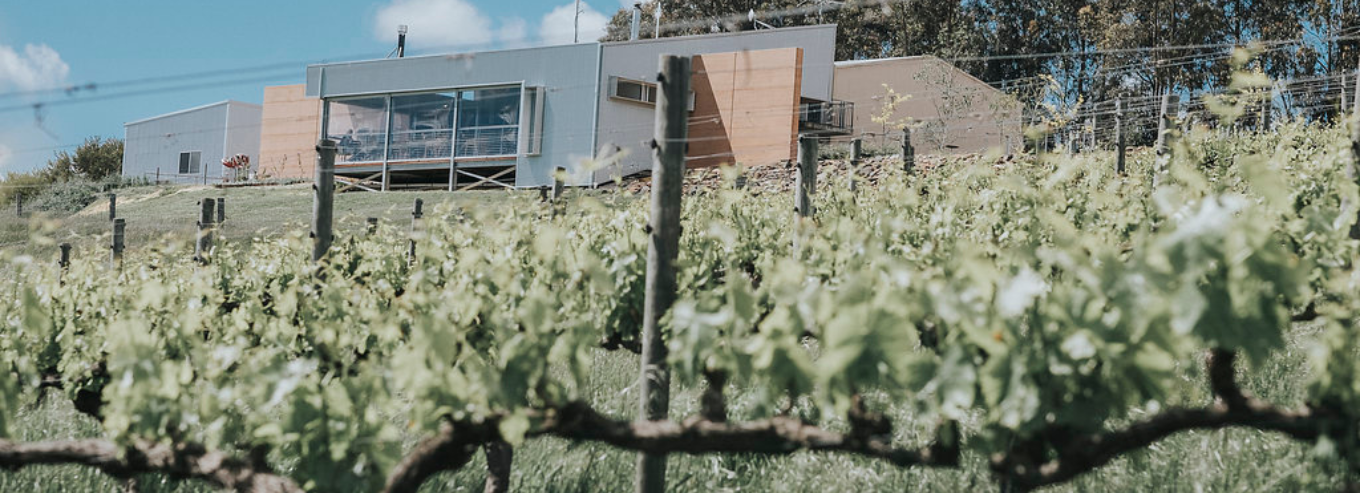 Green Door Wines